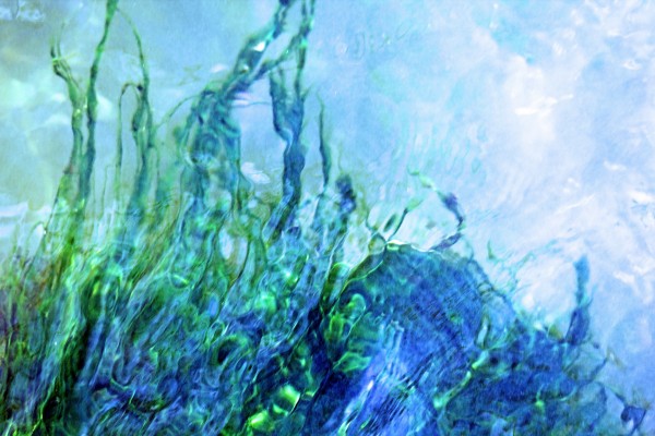 Water Dancing by Deb Oppermann